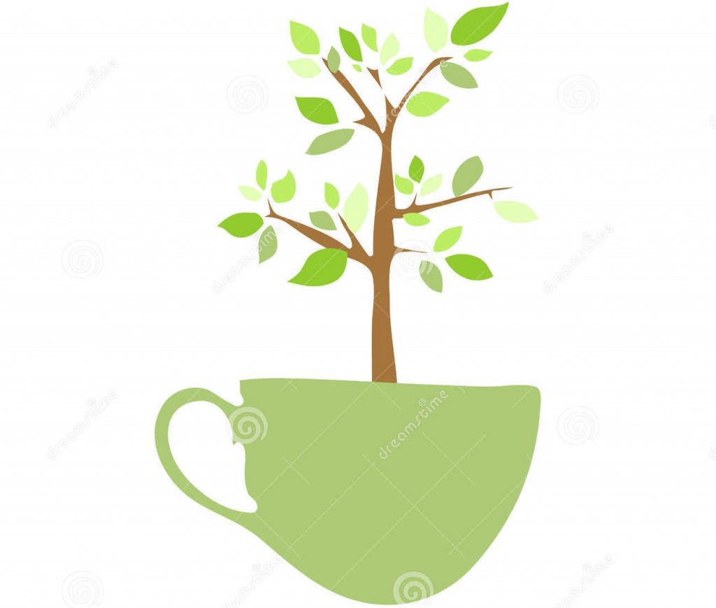 EcoCuo Ontario Treasure Hunt