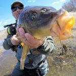fly fishing fly tying carp muskie Kawartha's Durham