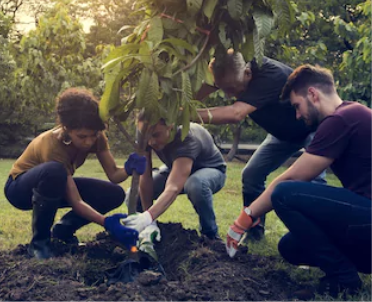 Ecocup community seeds