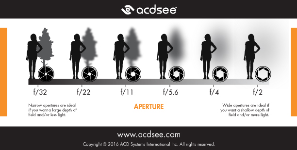 Durham Self Taught Photography Guide. Lesson 1: Aperture. An image describing how aperture affects the image. The larger the aperture number; the sharper the background will be. Whereas, the lower the aperture number; the blurrier the background will be.