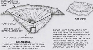 Important Survival Tips for Unexpected Danger Important Survival Tips for Unexpected Danger