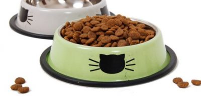 catfood